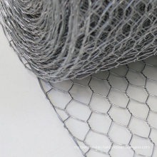 Africa′s Choice Galvanized Steel Mesh 1 Inch Wire 0.90mm Hexagonal Chicken Wire Netting